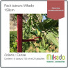Lot de 6 tuteurs de jardin Mikado – Hauteur : 150 cm avec 24 attaches – Couleur : Cerise