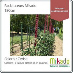 Lot de 6 tuteurs de jardin Mikado – Hauteur : 180 cm avec 24 attaches – Couleur : Cerise