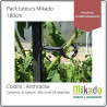 Lot de 6 tuteurs de jardin Mikado – Hauteur : 180 cm avec 24 attaches – Couleur : Anthracite
