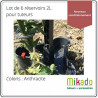 Lot de 6 réservoir d’eau Mikado pour tuteurs - Contenance : 2L - Couleur : Anthracite