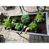 Jardinière Calipso maxi basic en polypropylène 40L 81 x 39 x 80 cm – gris