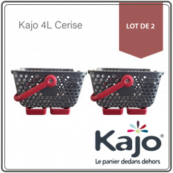 Lot de 2 paniers Kajo en polypropylène 4 L 24 x 20 x 15 cm – gris et cerise