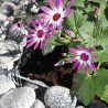 Jardinière en acier carrée gabion 113 x 113 x 40 cm avec galets
