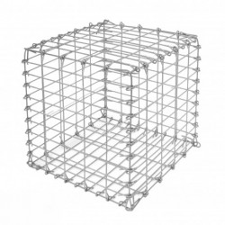 Retenue de Terre de Jardin en Gabion 50 x 50 cm Sans Galet