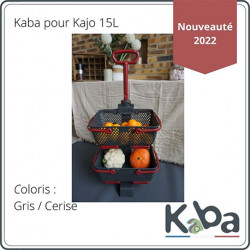Chariot à roulettes Kaba en polypropylène 15 L  48,4 x 46,7 x 107,6 cm – gris et cerise 