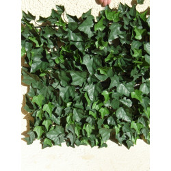 Haie artificielle de jardin en plaque PVC lierre 50 x 50 cm