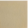 Dessus de muret en PR granité avec chanfrein 50 x 23 x 3 cm camel