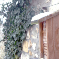 Nichoir abeilles polinisatrices pin douglas PEFC - épicéa fabriqué en France  16 x 21 x 30 cm
