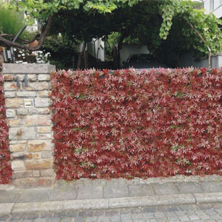 Haie artificielle de jardin aspect vigne vierge rouge - 4 plaques 50 x 50 cm soit 1m² Haie artificielle de jardin aspect vigne vierge rouge - 4 plaques 50 x 50 cm soit 1m²
