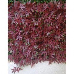 Haie artificielle de jardin aspect vigne vierge rouge - 4 plaques 50 x 50 cm soit 1m²
