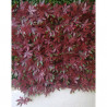 Haie artificielle de jardin aspect vigne vierge rouge - 4 plaques 50 x 50 cm soit 1m²
