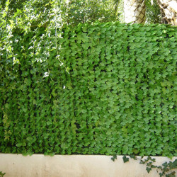 Haie artificielle de jardin aspect feuilles de lierre - 300 x 150 cm