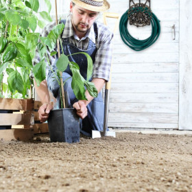 Support mural pour tuyau d’arrosage pivotant en fonte – 23 x 18 x 34 cm – Noir / Or