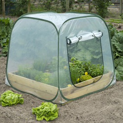 Serre de jardin pour carré potager en polyéthylène transparent et armature acier époxy 1 m² – 100 x 100 x 100 