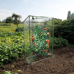 Serre de jardin pour pieds de tomates en polyéthylène traité et armature métallique 0,5 m² - 100 x 50 x 150 cm