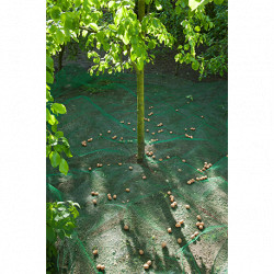 Filet de ramassage pour fruits ou feuilles mortes – Mailles 8x8mm - en polyéthylène avec 4 œillets – 4,3 x 4,3 m