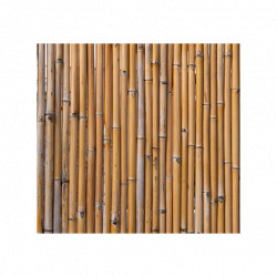 Canisse de jardin en cannes de bambou naturel  180 x 180 cm