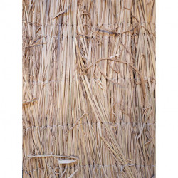 Paillon en paille de riz biodégradable  Epaisseur 1/1,5cm  1 x 1,5 m