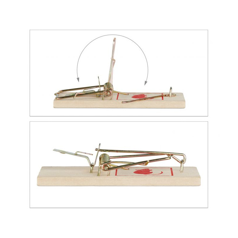 Lot De Tapettes à Mouches ACTION NEGOCE INTERNATION Destockage Grossiste