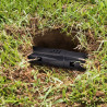Lot de 2 Pièges à taupe vivante tunnel avec longueur ajustable - diamètre 5,5 cm - Noir