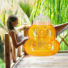 lot de 2 Pièges à guêpes  orange