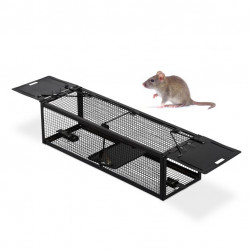 piège Souris et rats