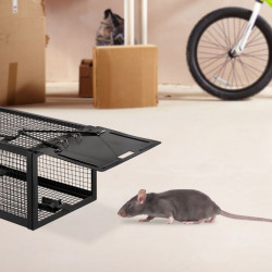 piège Souris et rats