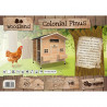 Poulailler Colonial en bois naturel  Capacité 4 poules  117 x 102,5 x 125 cm