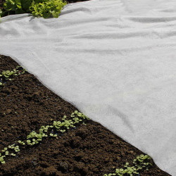 Voile de forçage en polypropylène blanc non tissé de 17g/m² – 2 x 10 m