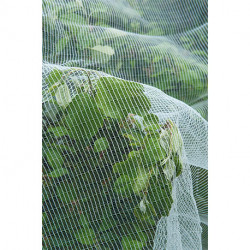 Filet de protection contre le ver pomme poire HDPE maille 3x6mm 60g/m² 5,20x5m