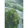 Filet de protection contre le ver pomme poire HDPE maille 3x6mm 60g/m² 5,20x5m