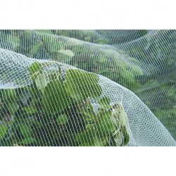 Filet de protection contre le ver pomme poire HDPE maille 3x6mm 60g/m² 5,20x5m