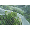 Filet de protection contre le ver pomme poire HDPE maille 3x6mm 60g/m² 5,20x5m