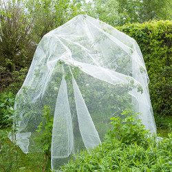 Filet de protection contre le ver pomme poire HDPE maille 3x6mm 60g/m² 5,20x5m