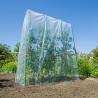 Film de croissance pour tunnel tomates et cultures verticales - LDPE transparent, 70 µ - 3,5 x 4 m