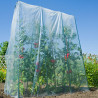 Film de croissance pour tunnel tomates et cultures verticales - LDPE transparent, 70 µ - 3,5 x 4 m