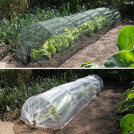 Kit DUO tunnel film de forçage en polyéthylène 100µ - 6 arceaux et filet anti-insectes – 300 x 60 x 45 cm Kit DUO tunnel film de forçage en polyéthylène 100µ - 6 arceaux et filet anti-insectes – 300 x 60 x 45 cm