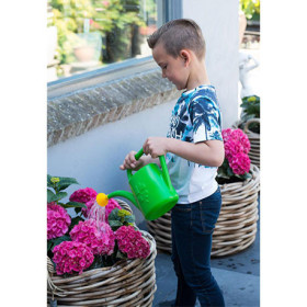 Arrosoir de jardin pour enfants en polyéthylène 2 L - Vert 