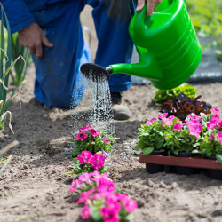 Arrosoir de jardin – Polyéthylène – 10 L - vert
