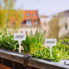 100 Étiquettes pour plantes