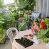 Mini serre de Jardin 24 compartiments en Kit 3 pièces - 45 x 23 x 4,5 cm 