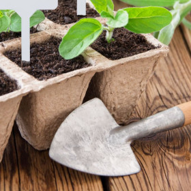 Kit complet de germination graines 131 pièces – Godets Biodégradables - 36,5 x 11 x 23 cm