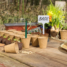 Kit complet de germination graines 131 pièces – Godets Biodégradables - 36,5 x 11 x 23 cm