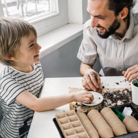 Kit complet de germination graines 131 pièces – Godets Biodégradables - 36,5 x 11 x 23 cm