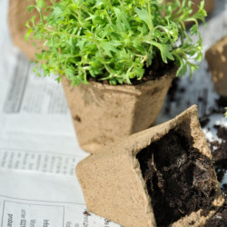 Ensemble de 204 pots carrés biodégradables pour semis – 16,5 x 5 x 12 cm 