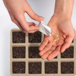 Ensemble de 204 pots carrés biodégradables pour semis – 16,5 x 5 x 12 cm 