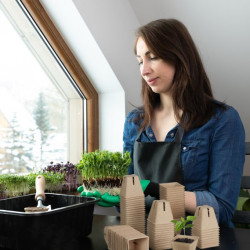 80 pots de culture carrés biodégradables 100% naturels – 6 x 6 x 5,5 cm
