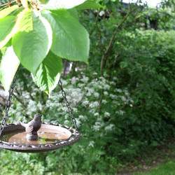 Bain d'oiseaux à suspendre avec chaînes en fonte  23,3 x 23,3x 8 cm - Marron