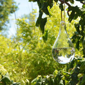 Chasse-mouches en verre avec cordelette de suspension 11x11x20 cm Transparent