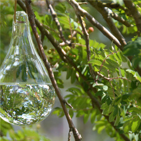 Chasse-mouches en verre avec cordelette de suspension 11x11x20 cm Transparent